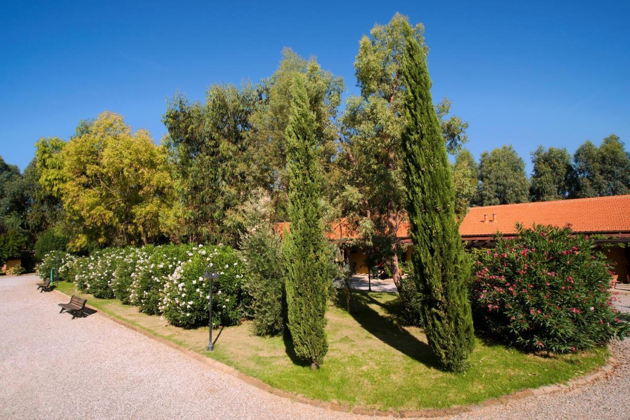 Agriturismo Le Pescine Vada Exterior foto
