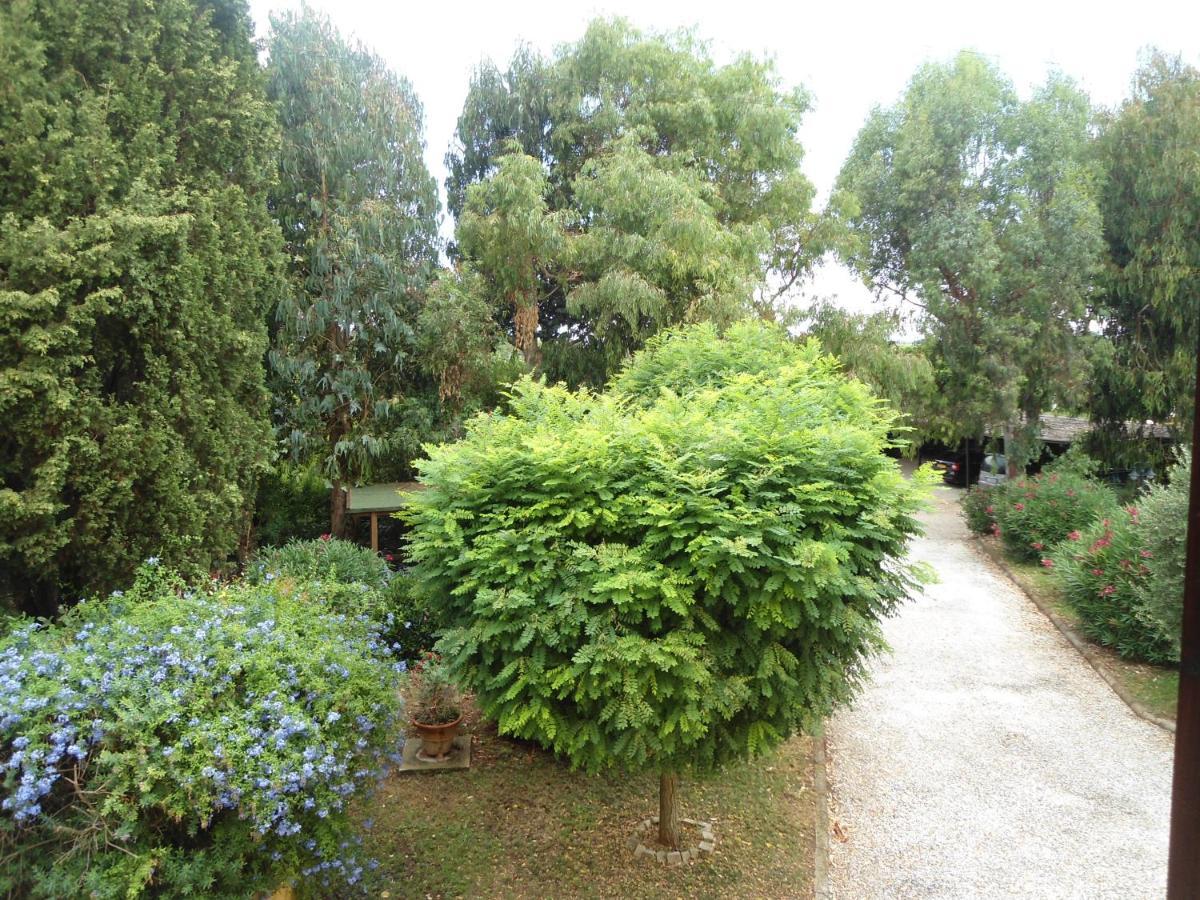 Agriturismo Le Pescine Vada Exterior foto